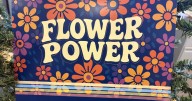 WVU Extension Launches 2026 Garden Calendar: Flower Power