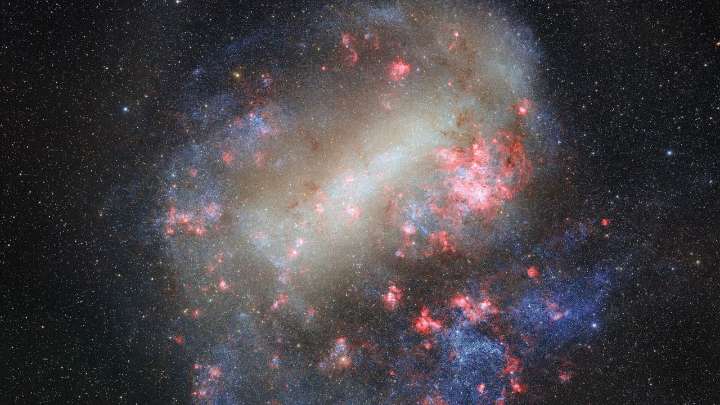 Large Magellanic Cloud bursts with baby stars | Space photo of the day for Dec. 3, 2025