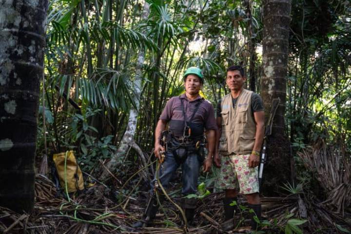 Scientists push for greater climate role for Latin America’s overlooked ecosystems
