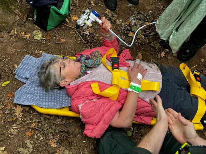 TV antiques dealer rescued by paramedics after fall during Kenilworth dog walk | Local News