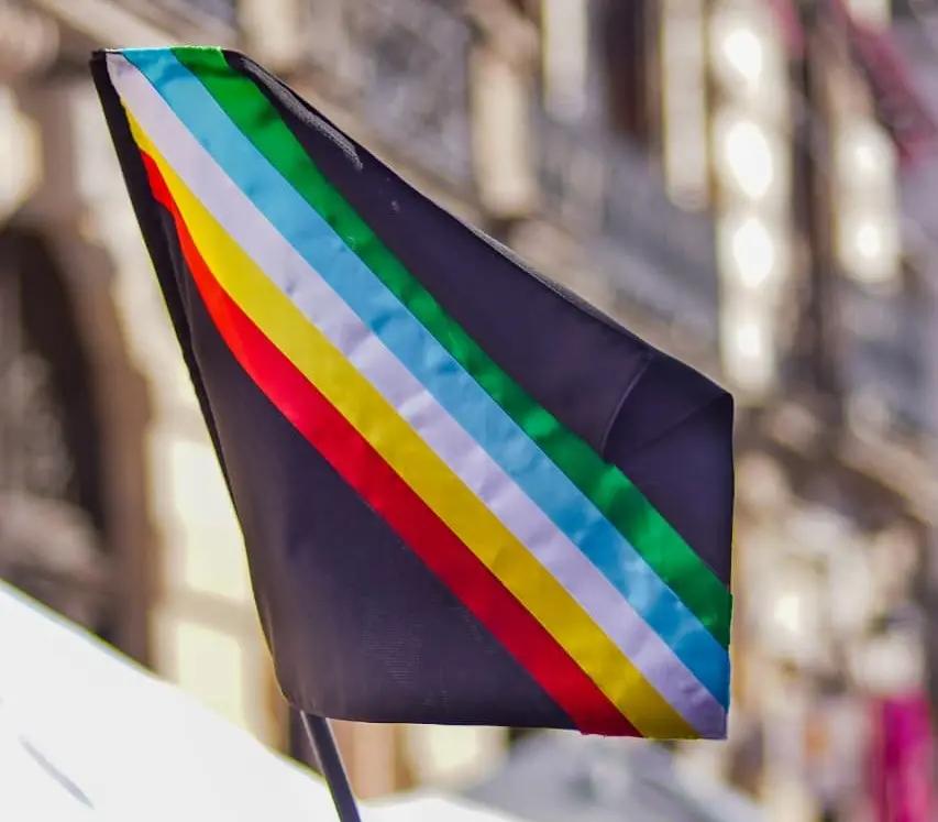 Bandera del Orgullo por la Discapacidad: un símbolo de identidad y resistencia