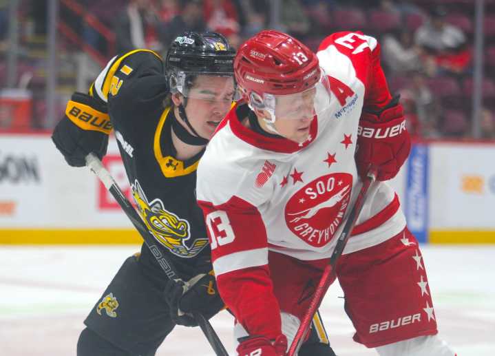 Sarnia Sting go winless on another road trip