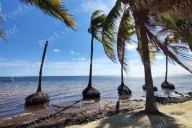 Playas del Caribe Mexicano en riesgo: Reportan pérdidas de arena por alta erosión costera