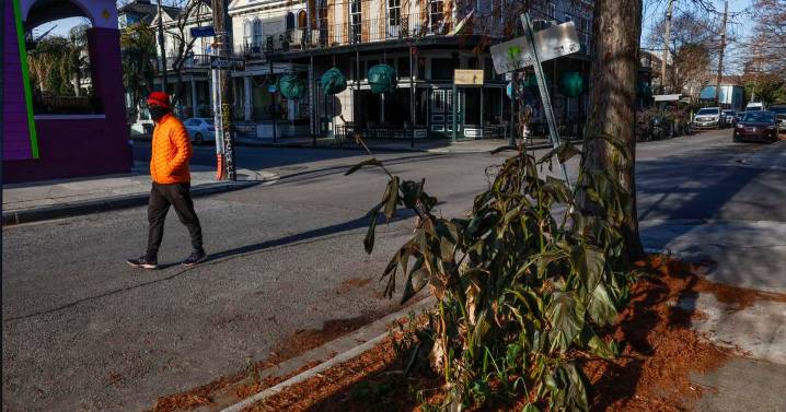 An Arctic blast will hit the US early next week. Here’s how cold it’ll get in south Louisiana.