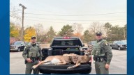 DEC issue 24 tickets after trio allegedly shoots deer from pickup in Tonawanda
