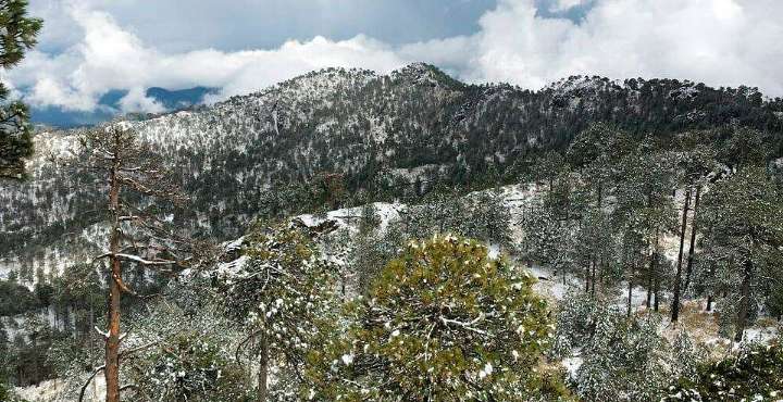 Conoce los cinco picos más altos de Michoacán y su valor cultural