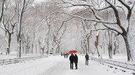 Nueva York despierta con primera nevada de la temporada (+Fotos)