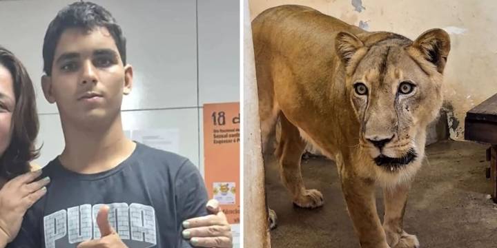 Quién era Gerson Machado, el joven que murió tras ingresar a la jaula de una leona en un zoológico de Brasil