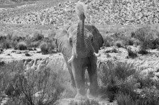 A Heartfelt Invitation to Connect Emotionally with Wildness