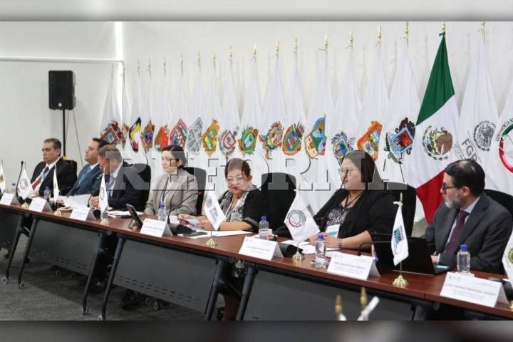 Pide EU a Fiscalías desmantelar  organizaciones criminales