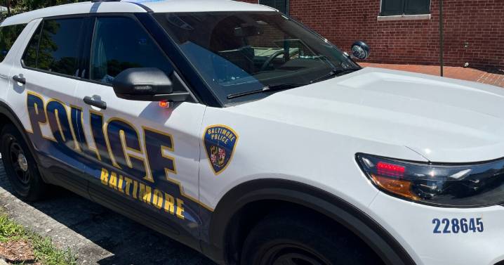 Animal Control removes large cat from Baltimore's Reservoir Hill neighborhood