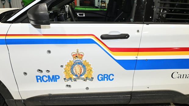 Judge rejects bail application from man who allegedly tried to kill RCMP officers