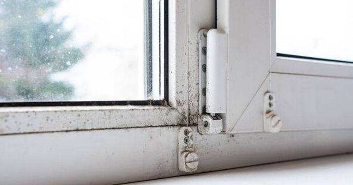 One method that's better than opening windows for stopping mould