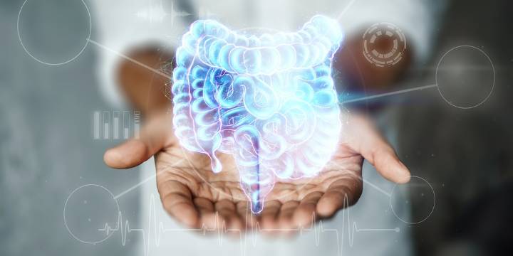 El microbioma intestinal bajo la lupa: un ranking científico clasificó las bacterias según su impacto en la salud