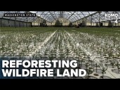 Reforestation underway after WA wildfire season using 150
