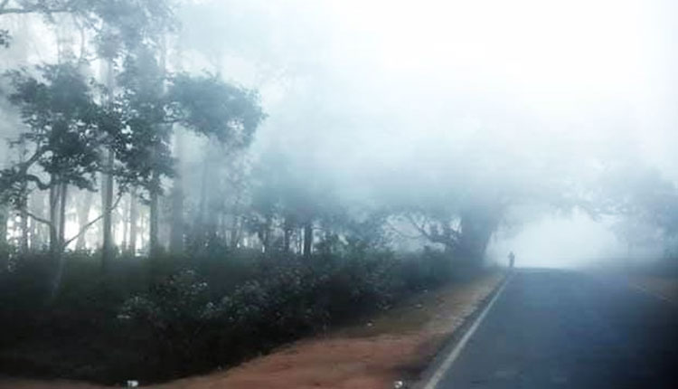 Cold Wave Sweeps Odisha: G. Udayagiri Records Lowest Temperature At 3.1°C