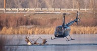 Frozen in time: Local wildlife photographer documents elk rescue from icy pond
