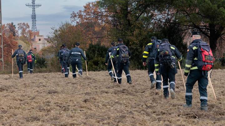 Hallados medio centenar de jabalíes muertos en la zona cero de la peste porcina en Collserola
