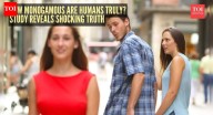 How monogamous are humans truly? Study reveals 'shocking' rank among various animals
