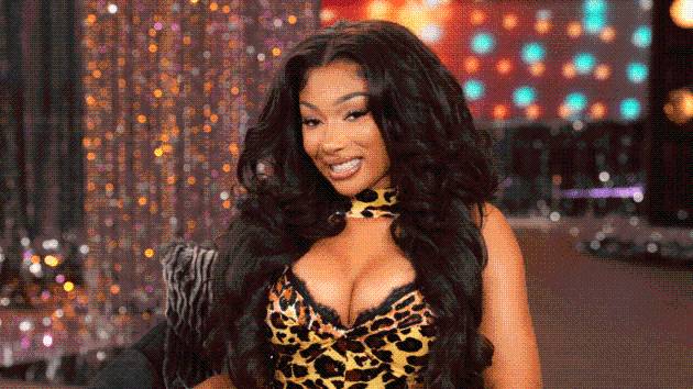 Court rules judgment could not be entered against blogger on defamation count in Megan Thee Stallion lawsuit