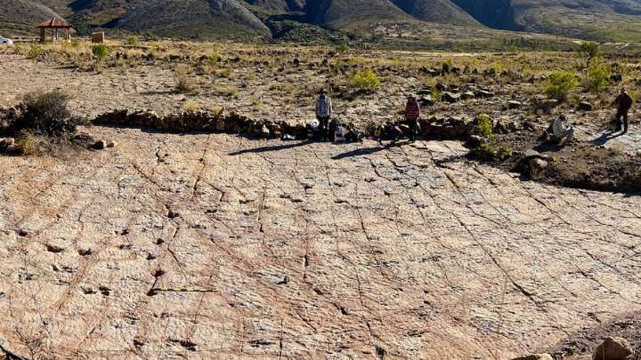Paleontólogos no pueden creer el enorme descubrimiento realizado en Bolivia: miles de huellas de dinosaurios