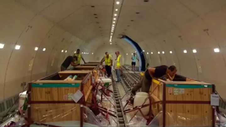 Inédito traslado de diez delfines argentinos a Egipto