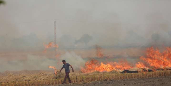 Farm fires dip may be undercount, ISRO study flags shift in stubble