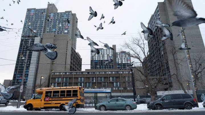 Anxiety grips Minneapolis’s Somali community as immigration agents zero in on the Twin Cities