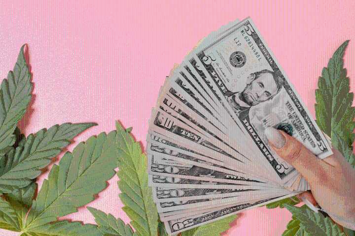 How to Build Your Weed Budget