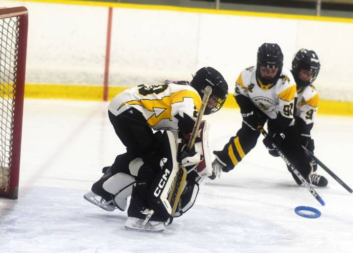 Stinger shutouts lead Fun 3 ringette squads | Exeter Lakeshore Times Advance