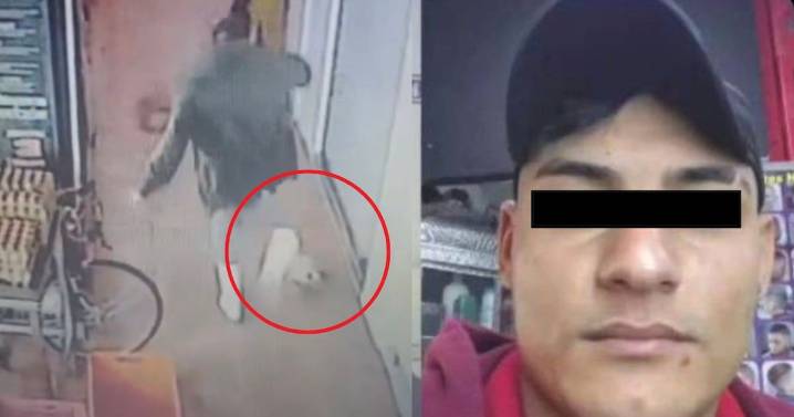 ¡Imágenes sensibles! Sujeto asesina a patadas a un gato en Ecatepec; autoridades ya lo buscan