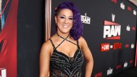Numerous WWE Talent Reportedly Participate In Bayley's Independent Lodestone Seminar
