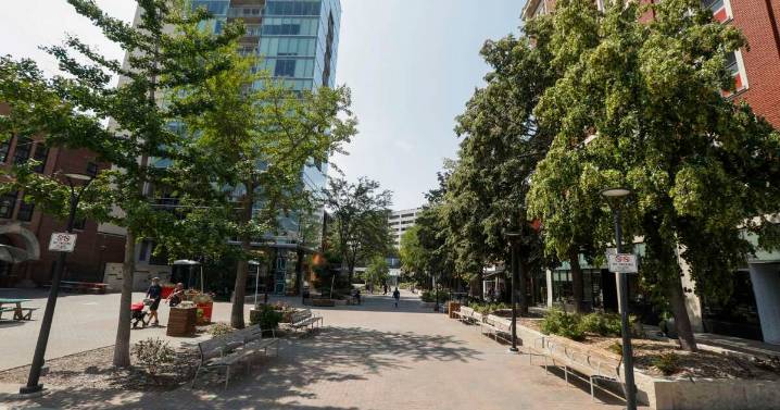 Iowa City Downtown District plans for its next 10 years