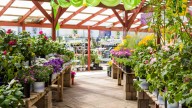 8 New Plants Coming To Garden Centers Next Year You'll Want To Add To Your Yard