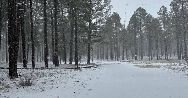 High Country Running: Running is a powerful way to slow down in the holiday season