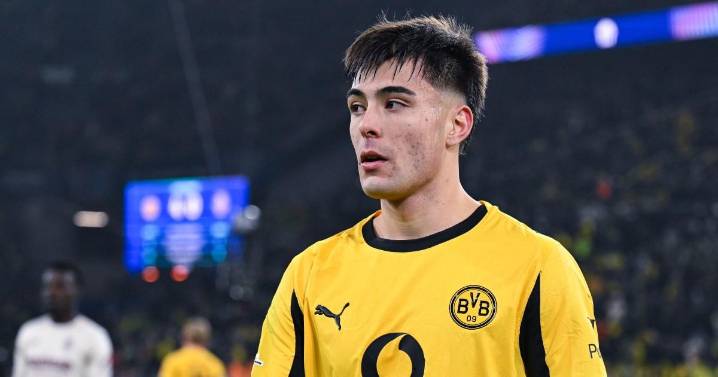 Borussia Dortmund reveal transfer plan to sign £15m Chelsea star