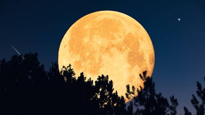 This Is What the December Supermoon Has in Store—Especially for These Star Signs