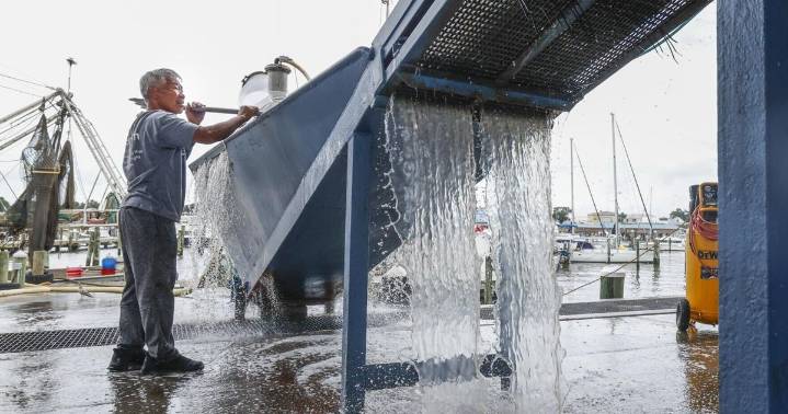 Louisiana's shrimping industry faces threats from imports
