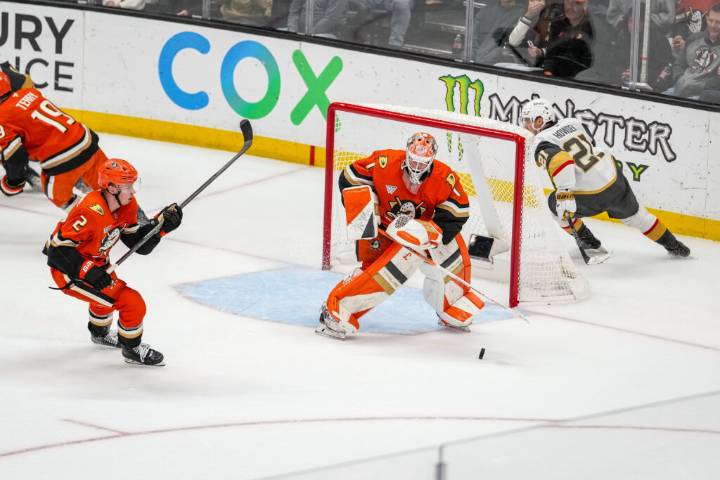 Ducks Activate Lukas Dostal From Injured Reserve