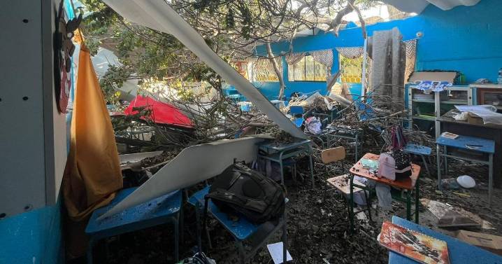 Tree falls on class and leaves 15 children injured and teacher 'bleeding'