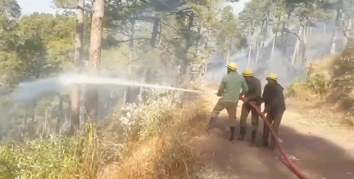 Forest fire rages along LoC in Rajouri, Poonch