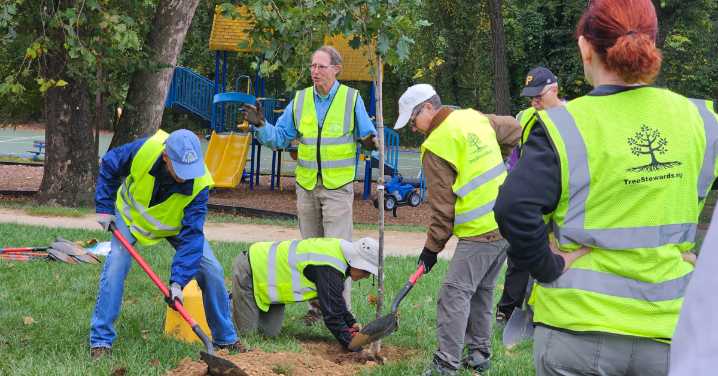 Tree Planting at Lynbrook