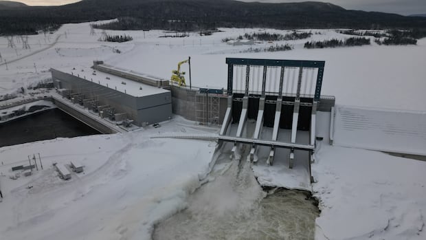N.L. Hydro's quarterly report reveals heavy cost of keeping power rates stable in Muskrat era