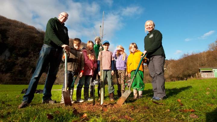 Sycamore Gap sapling planted at Biblins