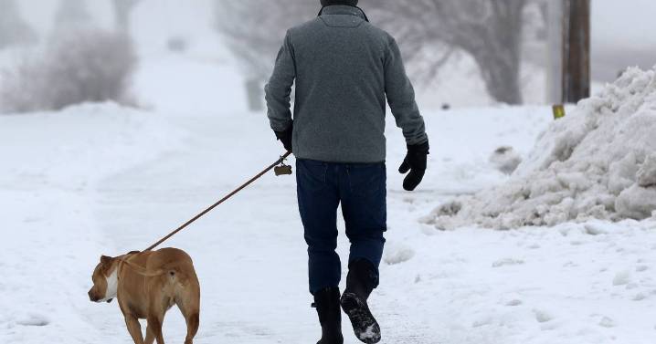 Here’s how to keep your dog safe in winter weather