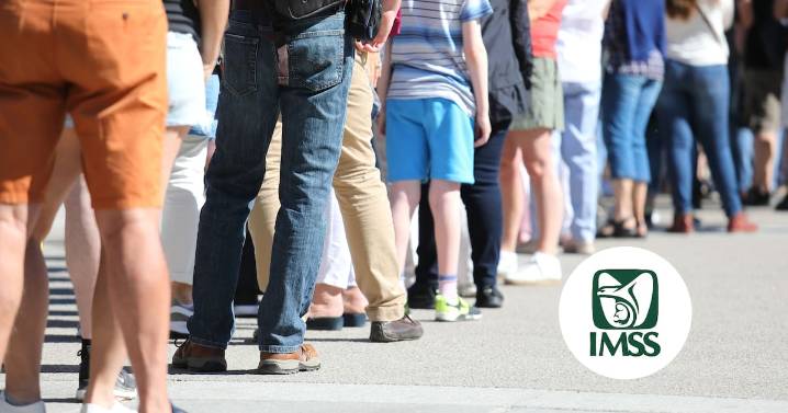 Evita traslados y largas esperas en ventanillas del IMSS con el Tarjetón Digital: Qué es, para qué sirve y cómo tramitarlo