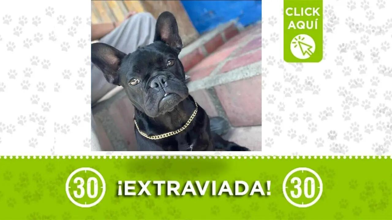 Vaioleth se extravió en San Antonio de Prado y su familia la busca