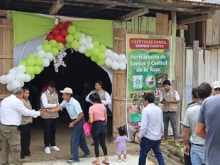 UNSM capacita a cafetaleros de Nuevo Tacabamba en técnicas innovadoras contra la roya