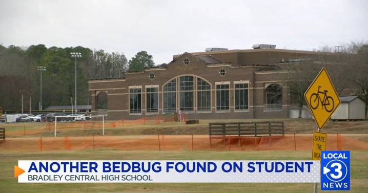 Another bedbug found at Bradley Central; some parents disappointed with school's reaction