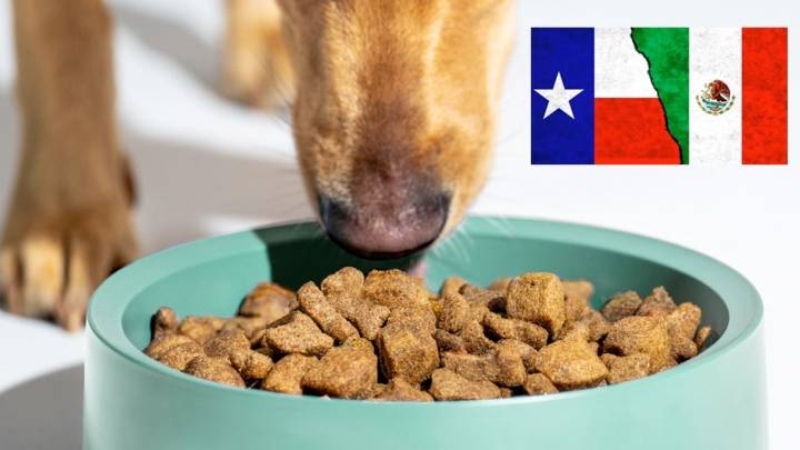 ¿Dónde conviene más comprar croquetas para mascotas, en Laredo, Texas, o Nuevo Laredo?